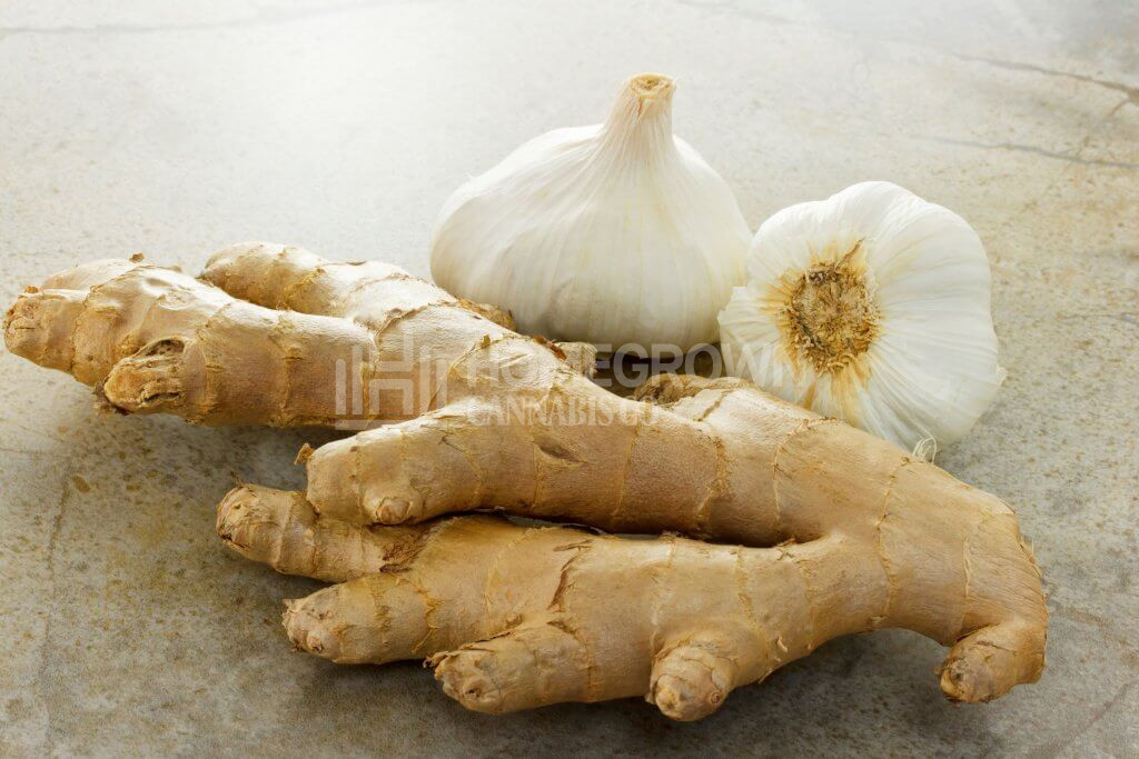 Ginger and garlic
