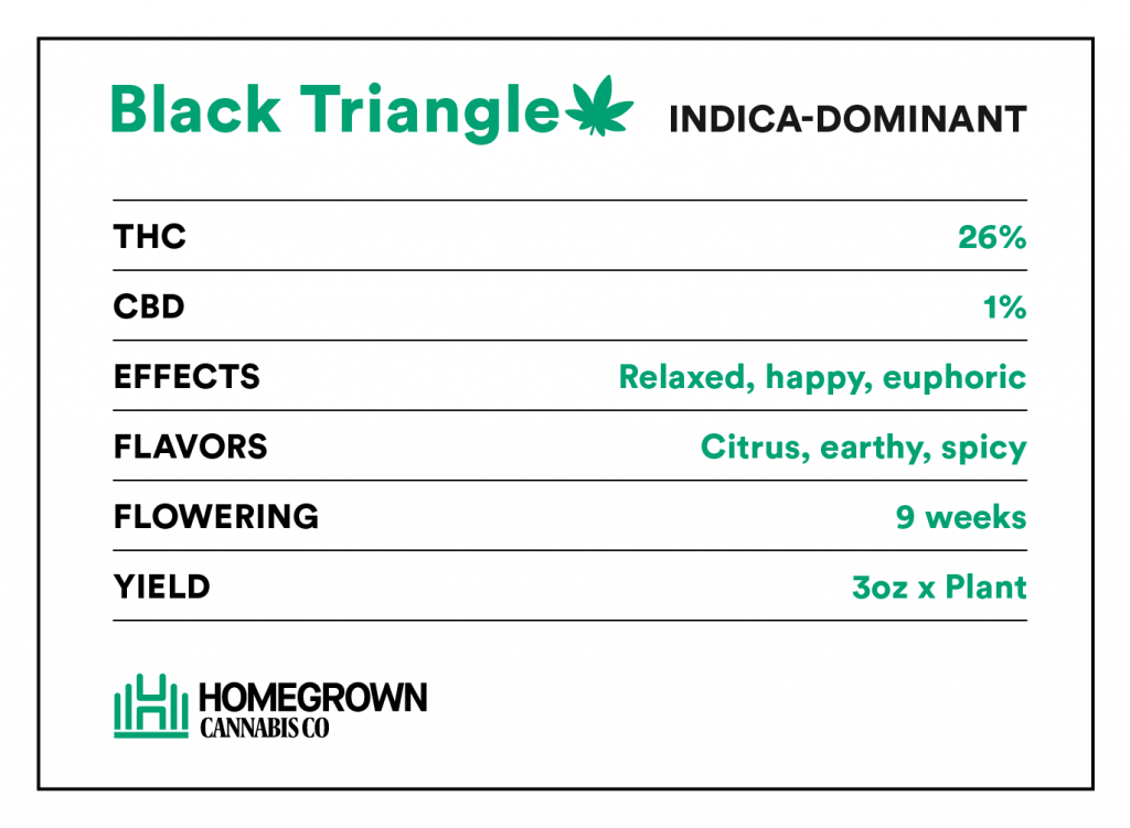 Black Triangle information