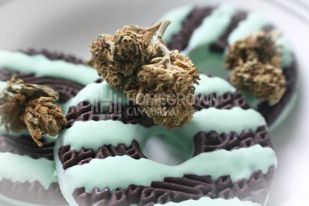 Marijuana edible and buds