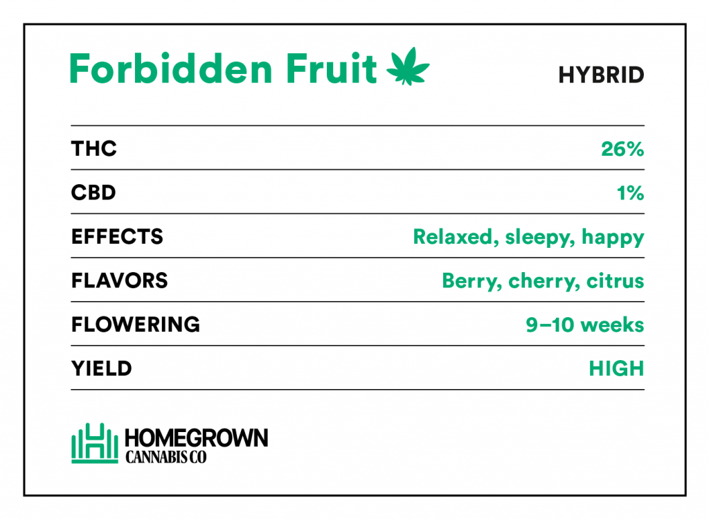 Forbidden Fruit Strain Info