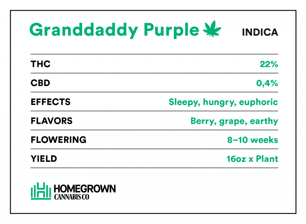 Granddaddy Purple Strain Info