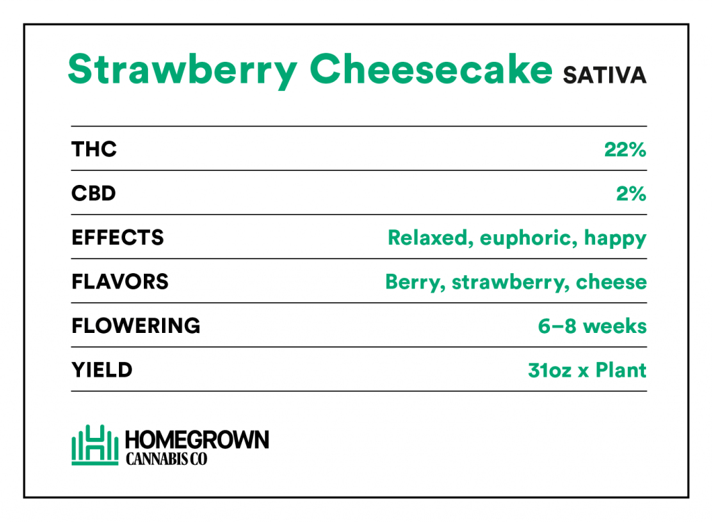 Strawberry Cheescake Strain Information