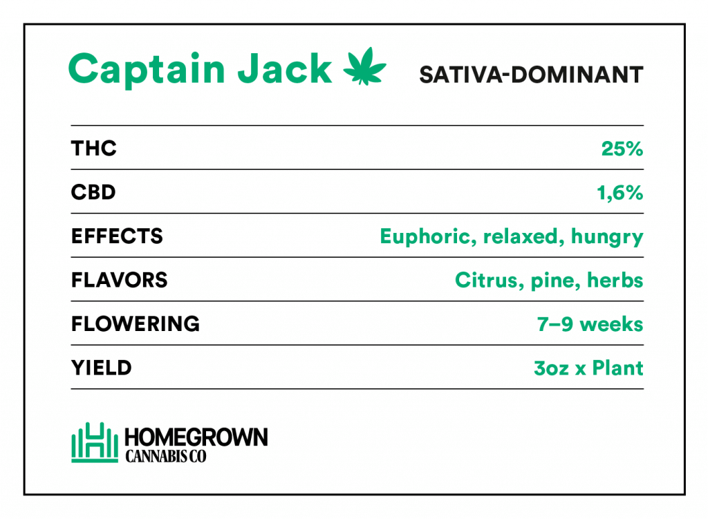 Captain Jack Strain Info
