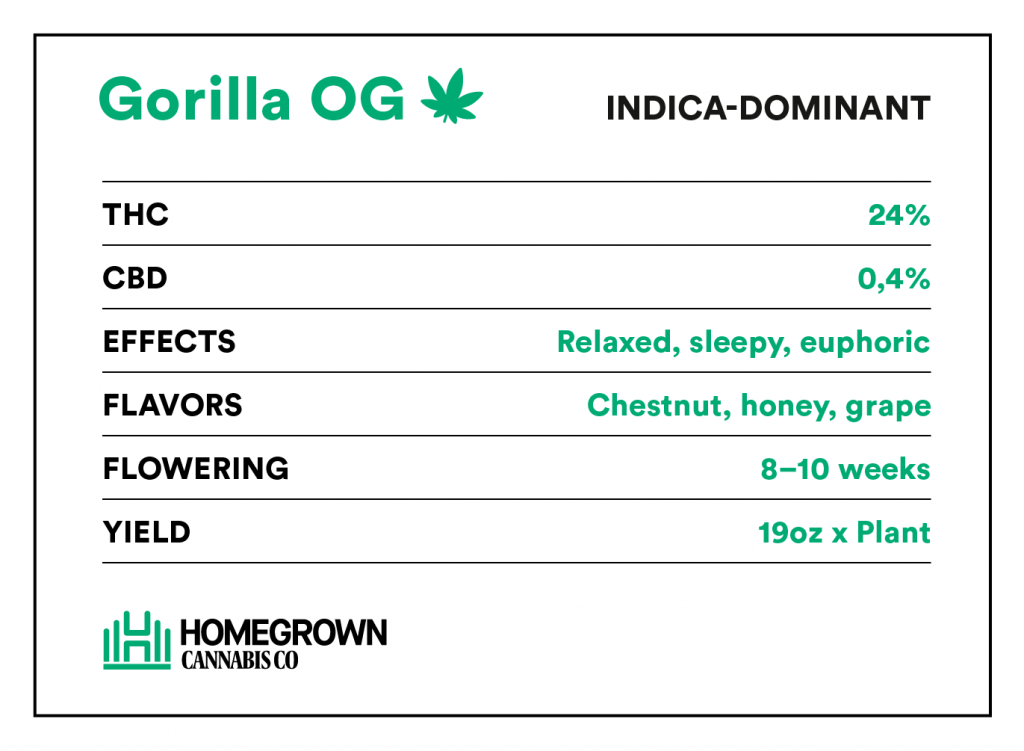 Gorilla OG Strain Info