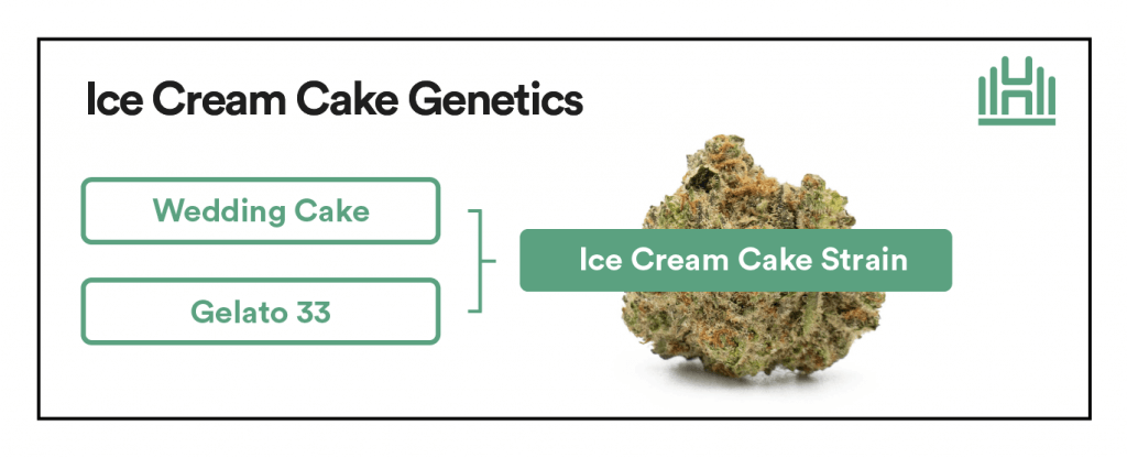 Ice Cream Cake Strain Genetics