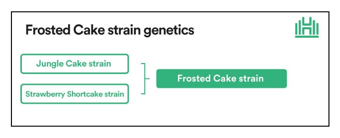 Frosted Cake Strain Genetics
