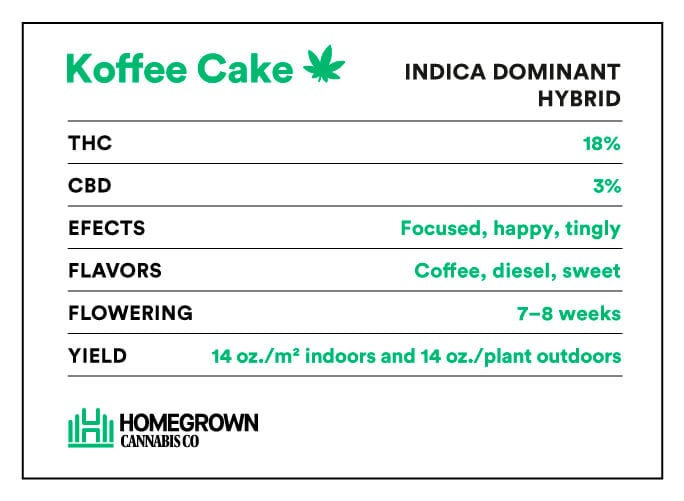 Koffee Cake Strain Info