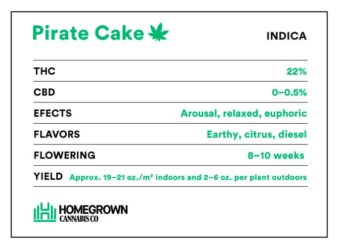 Pirate Cake Strain Info