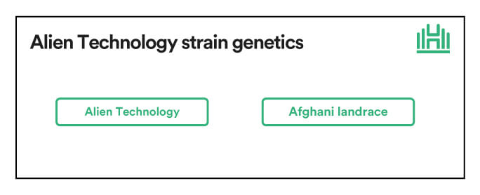 Alien Technology Strain genetics
