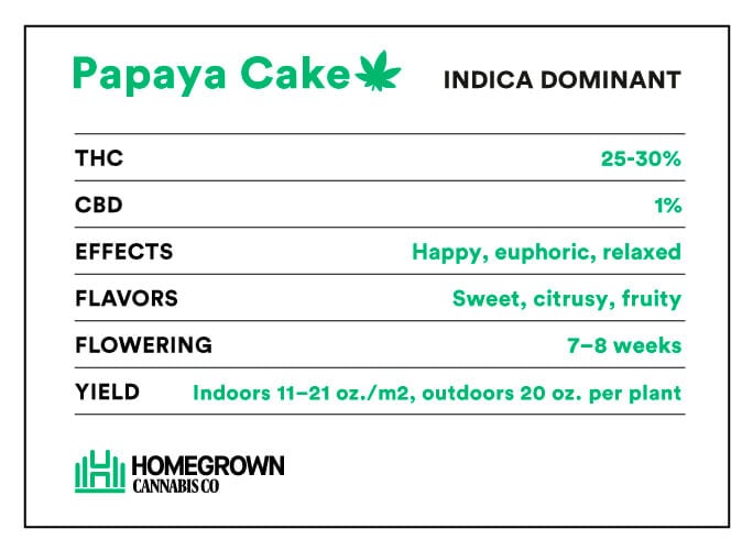 Papaya Cake Strain info