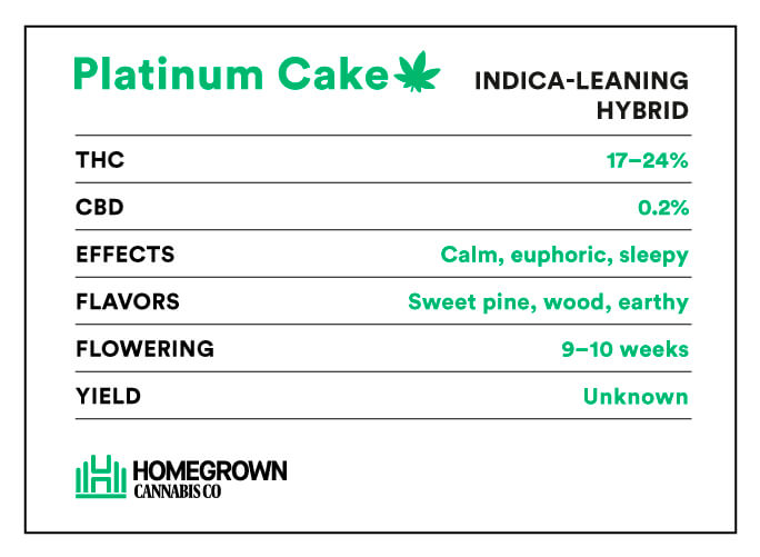 Platinum Cake Strain Info