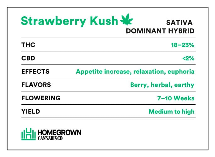 Strawberry Kush strain info