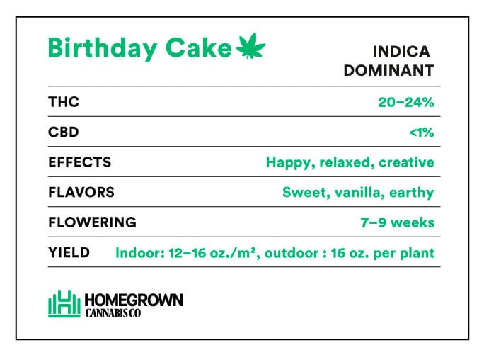 Birthday Cake Strain Info