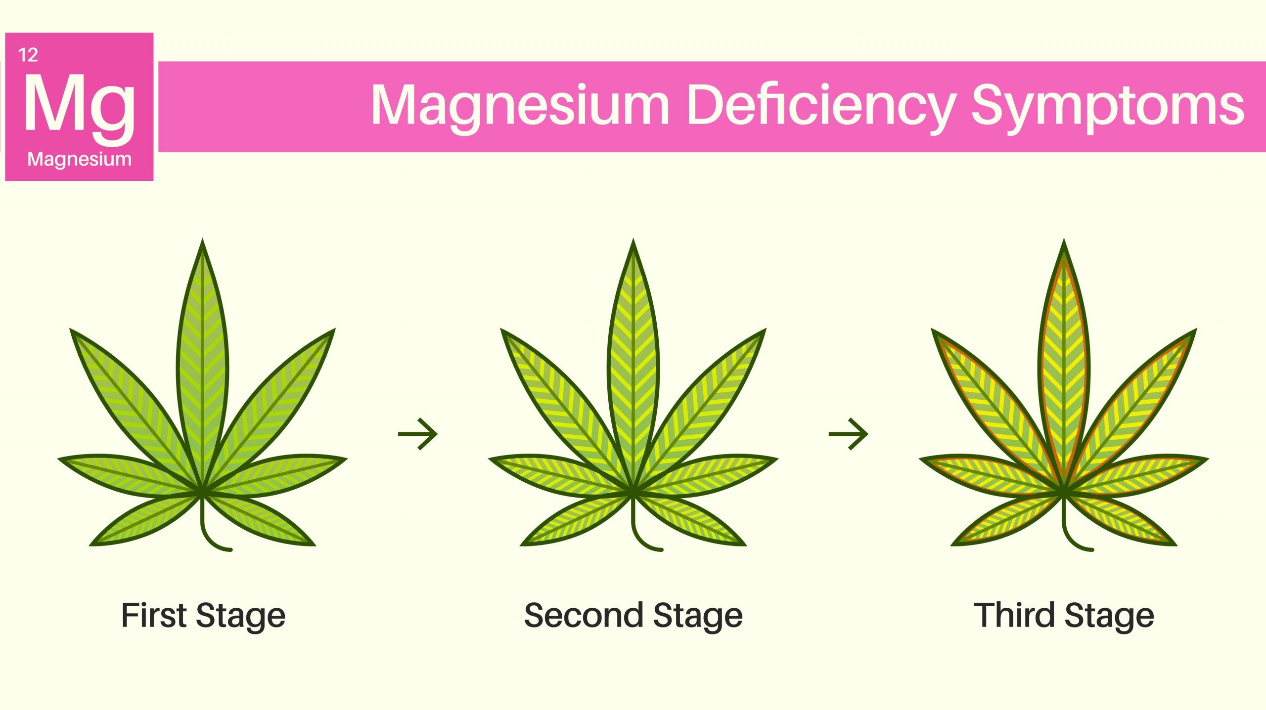 symptoms of magnesium deficiency in weed