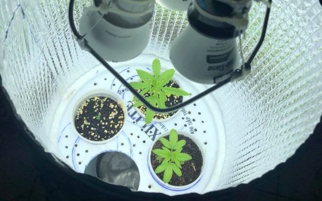 hydroponic space bucket