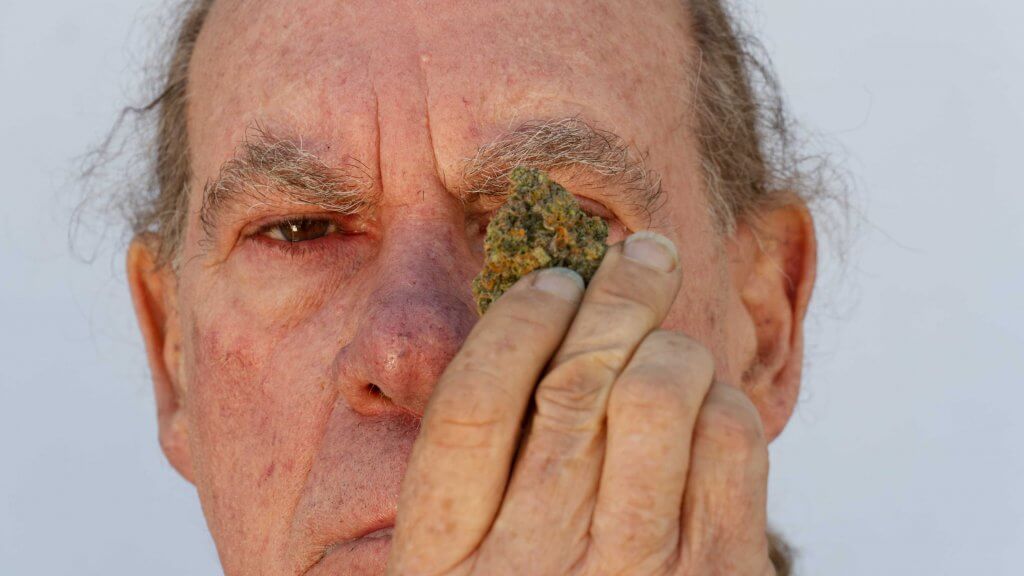 Ed Rosenthal Cannabis