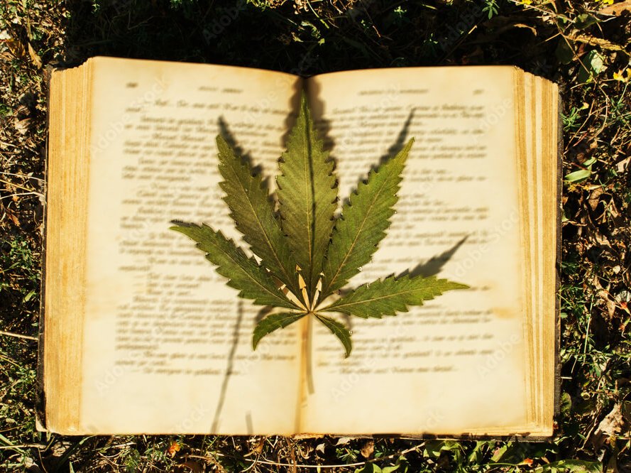 Best Cannabis Grow Books