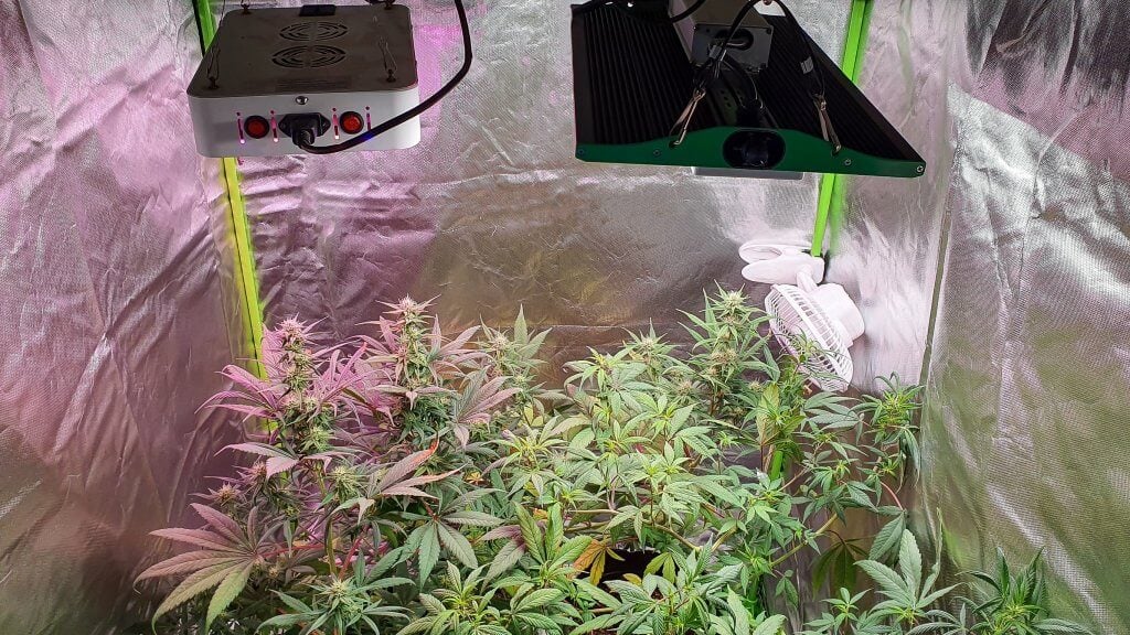 best indoor grow tent set up