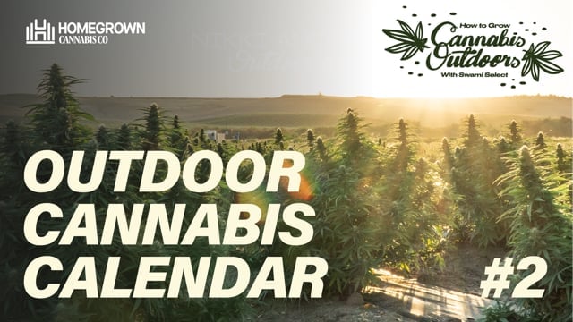 outdoor cannabis calendar - EP2