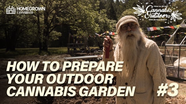 how to prepare outdoor cannabis garden - EP3