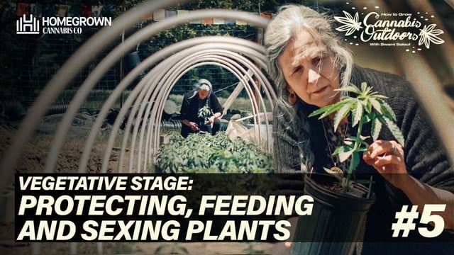 Protecting, feeding and sexing plants - EP5