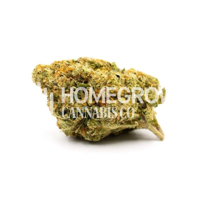 Lemon Haze Autoflower Cannabis Seeds