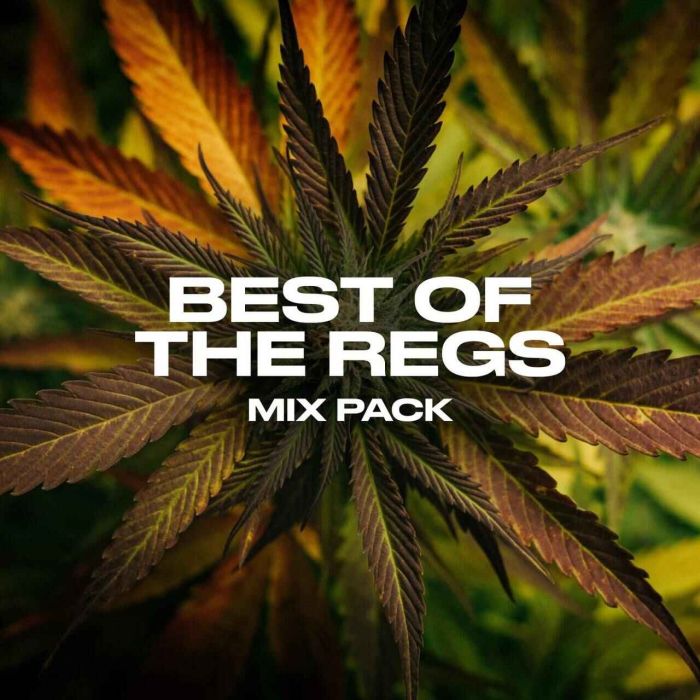 Best of the Regs Mix Pack