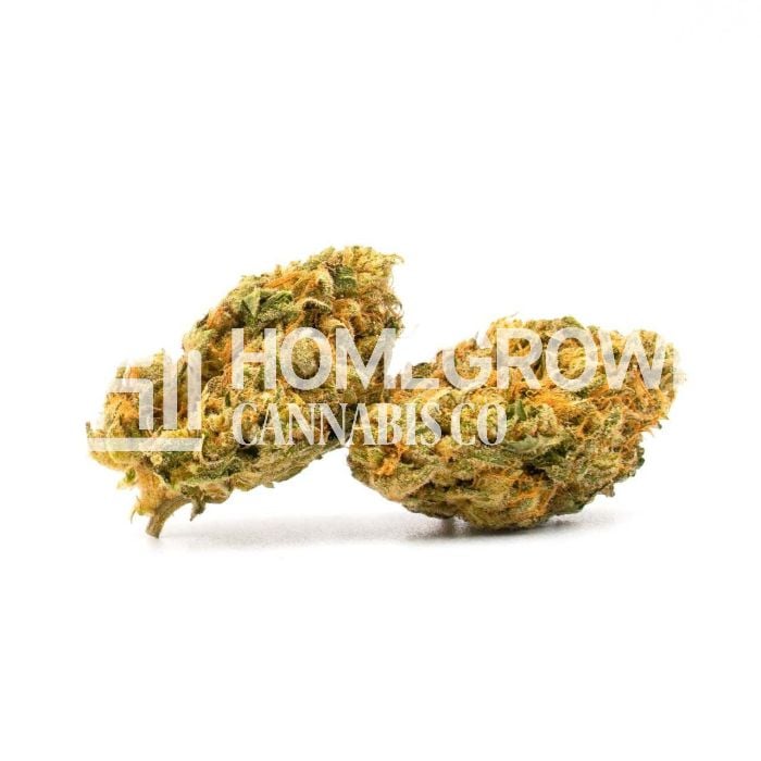 Mandarine Autoflower Cannabis Seeds