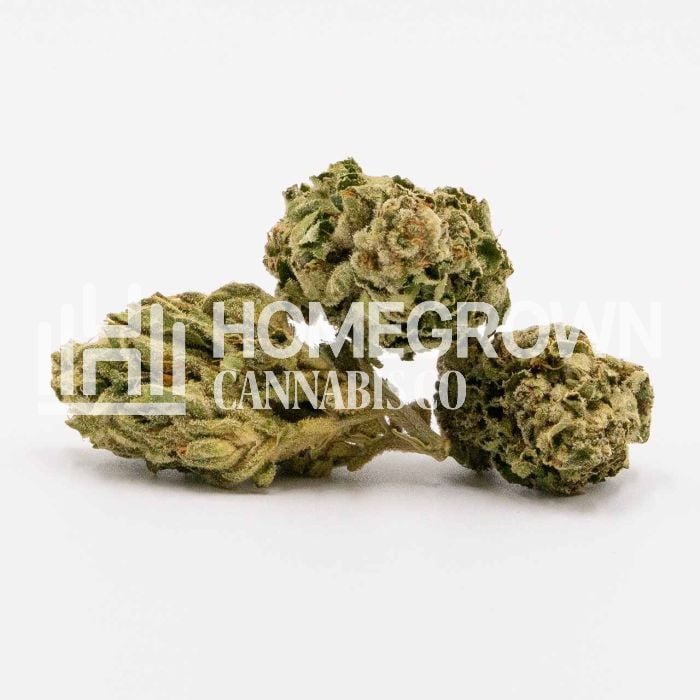 Amnesia Kush Autoflower Cannabis Seeds