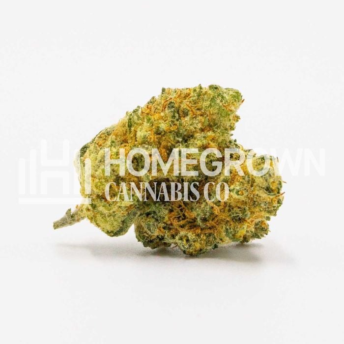 Cloudberry Feminized Cannabis Seeds