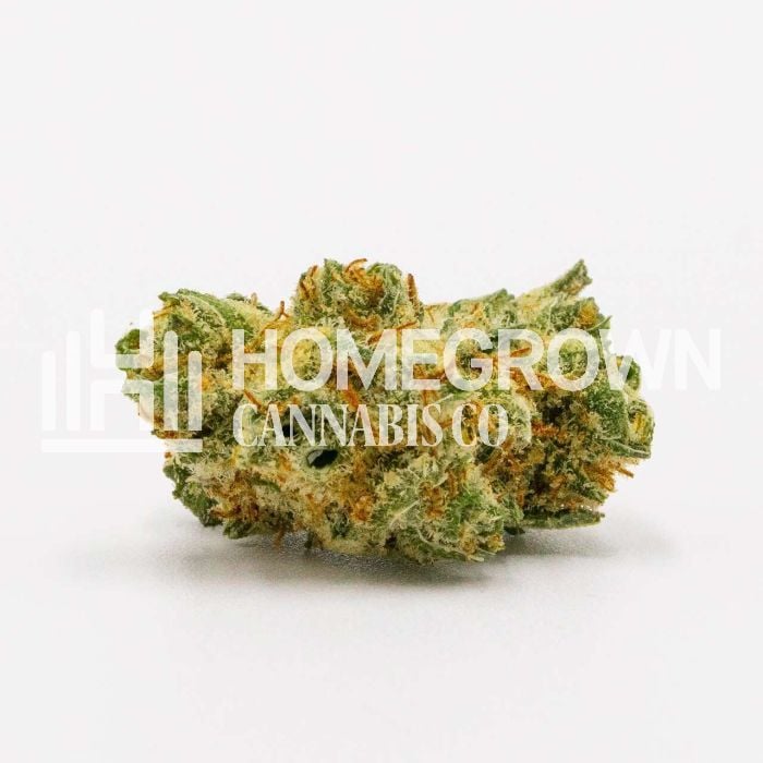 Harlequin Kush Regular Cannabis Seeds