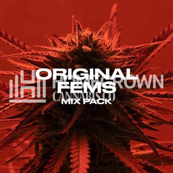 Originals Feminized Mix Pack