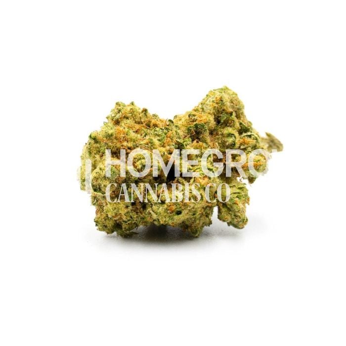 Haze Autoflower Cannabis Seeds