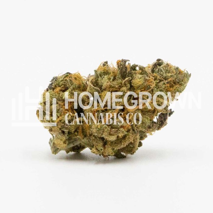 CBD Haze Autoflower Cannabis Seeds