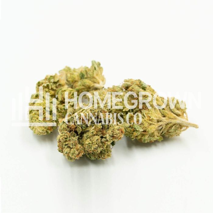 CBD Harlequin Kimbo Kush (1:2) Cannabis Seeds