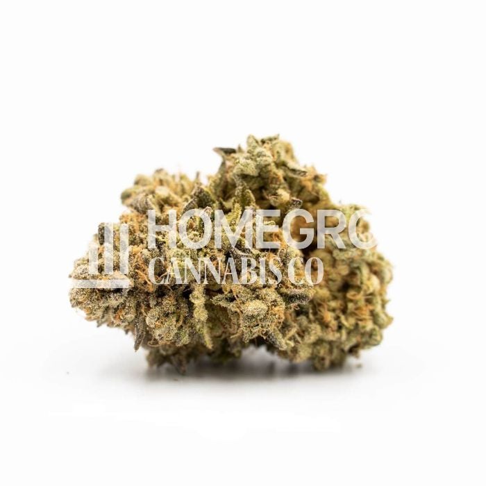 Runtz Autoflower Cannabis Seeds