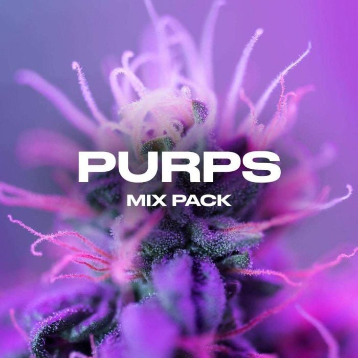 Purps Mix Pack