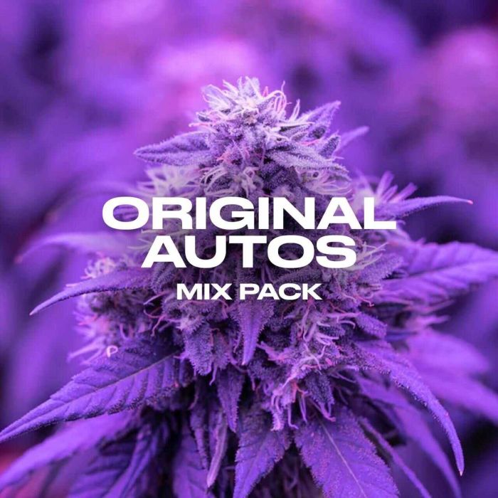 Originals Autoflower Mix Pack