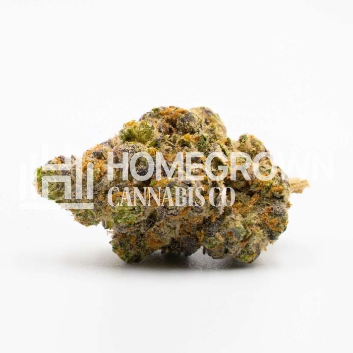 Grizzly Purple Kush Feminized Cannabis Seeds