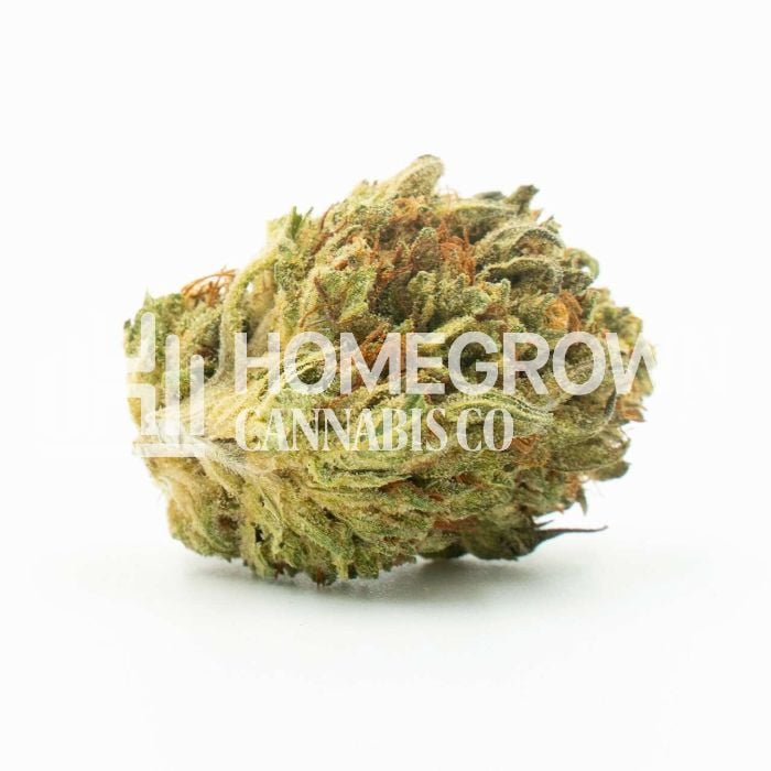 Jack Herer Autoflower Cannabis Seeds
