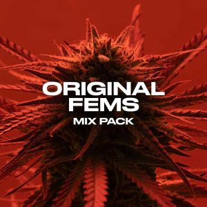 Originals Feminized Mix Pack
