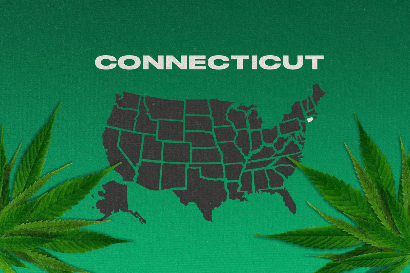 Is Weed Legal in CONNECTICUT