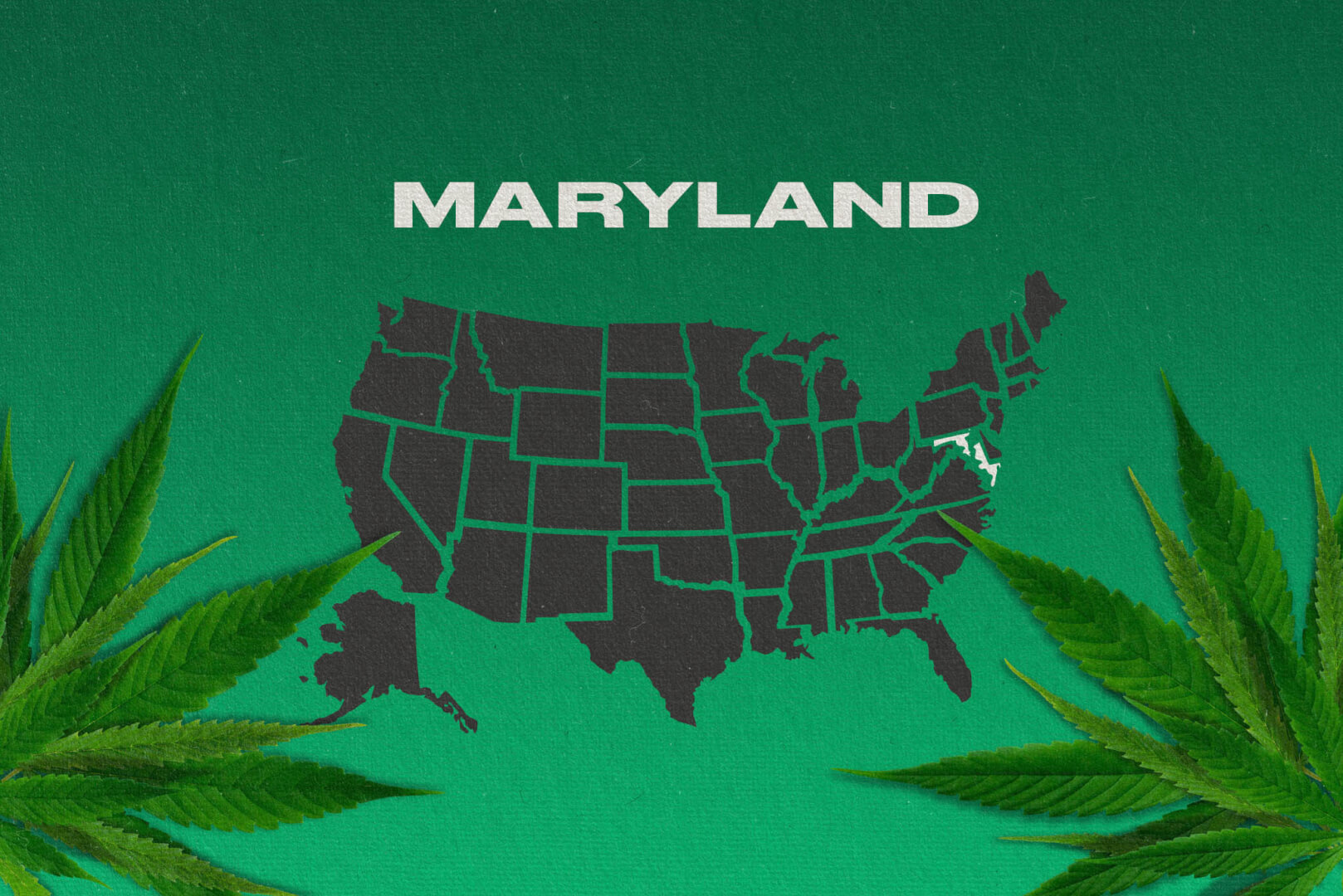 Is Weed Legal in MARYLAND