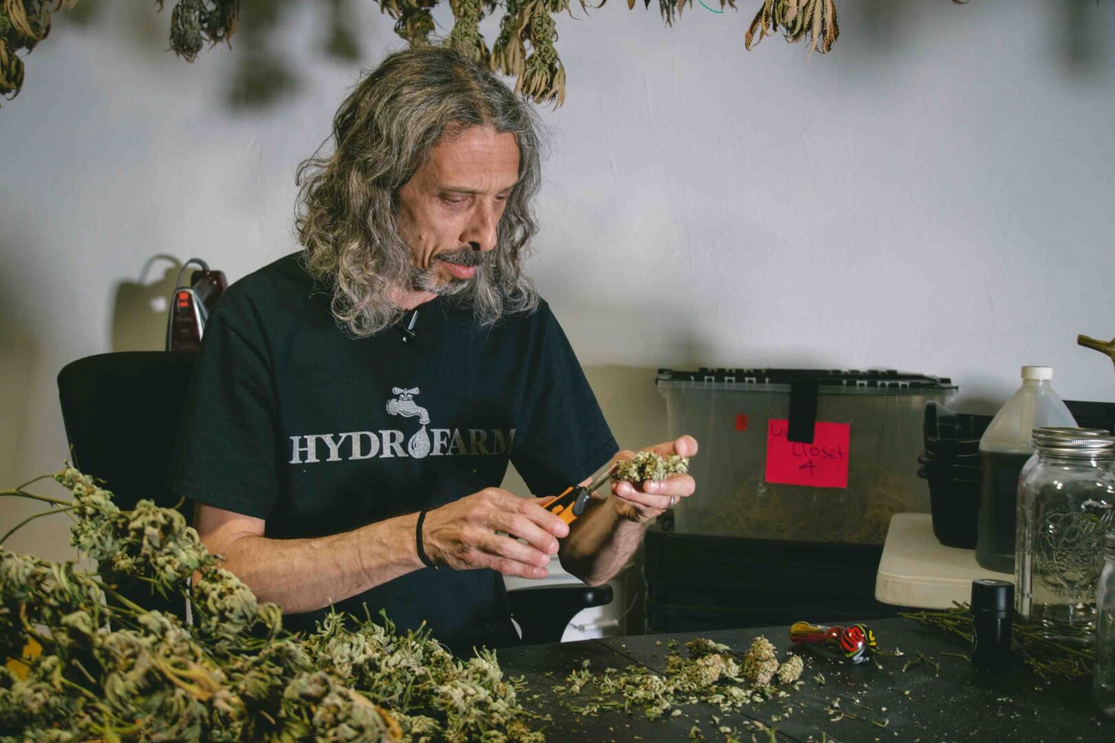 Kyle Kushman Drying and Curing Weed
