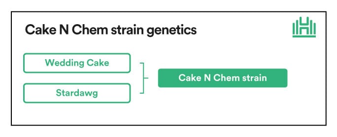 Cake N Chem Strain genetics