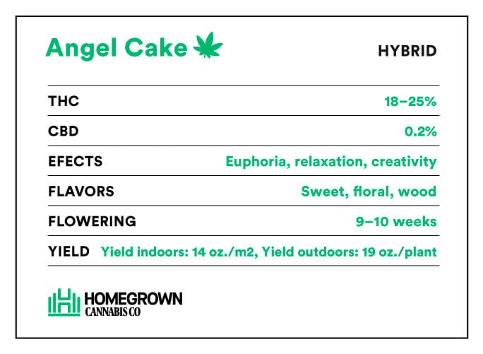 Angel Cake strain info