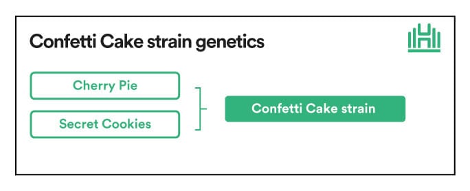 Confetti Cake Strain Genetics