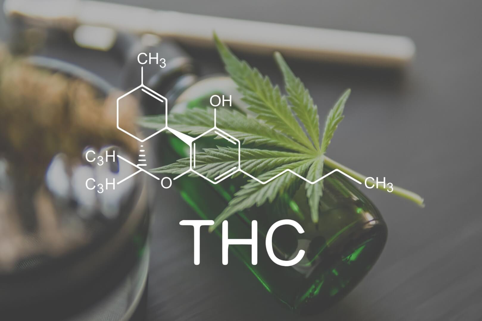 What Is Considered High THC Levels in Cannabis Plants