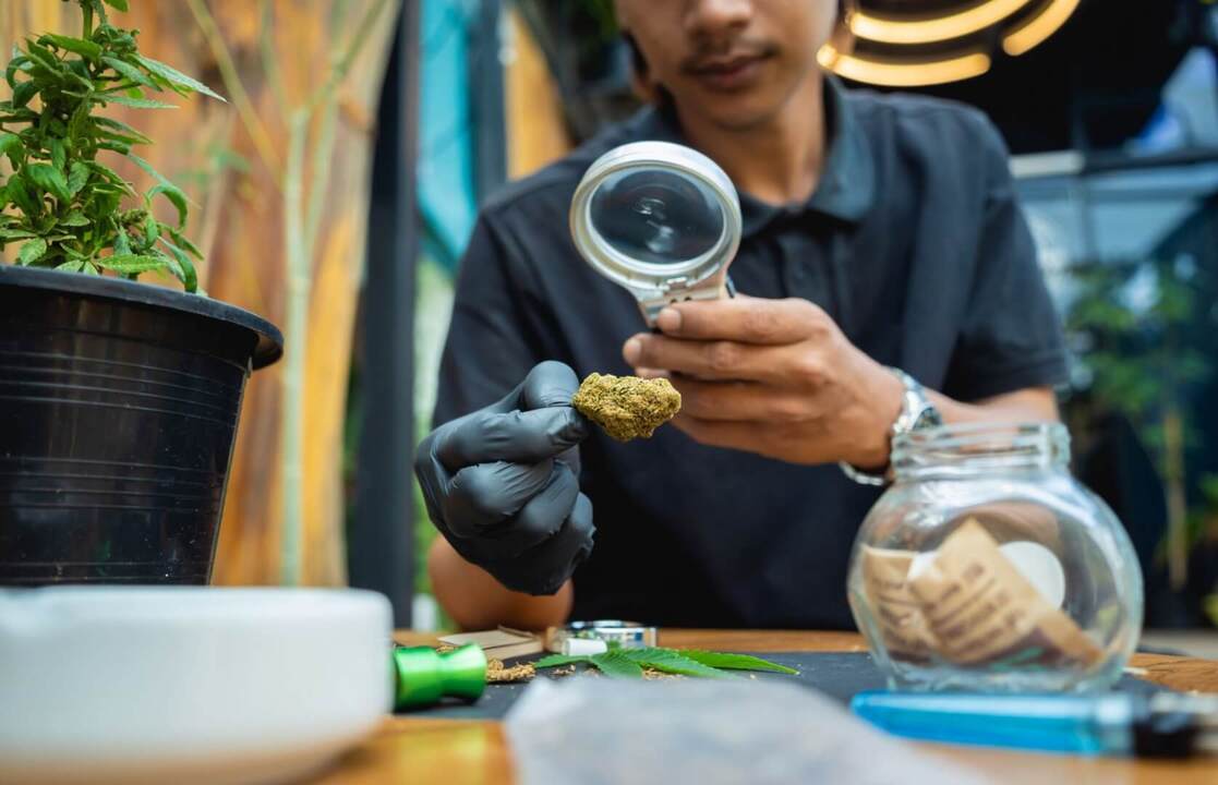 How to Become a Budtender: A Complete Guide