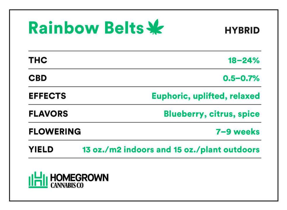 Rainbow Belts Strain Information
